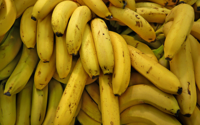 Обои картинки фото еда, бананы, желтые, много, зрелые