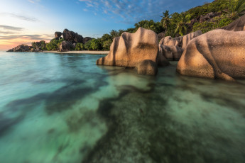 Картинка природа тропики побережье пляж море камни пальмы