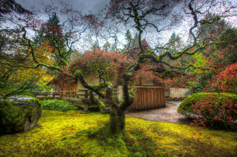 Картинка природа парк камни кустарники деревья дом