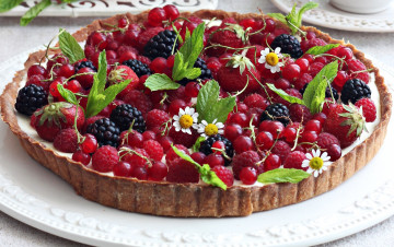 Картинка еда пироги пирог смородина выпечка ягоды малина ромашки