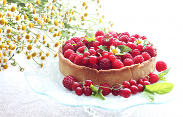 Картинка еда пироги смородина пирог ромашки цветы ягоды малина лето ежевика