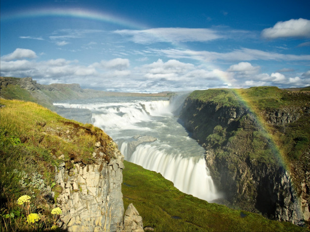 Обои картинки фото исландия, природа, водопады, цветы, трава, радуга