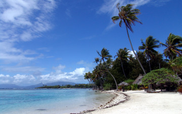 Картинка polynesian природа тропики