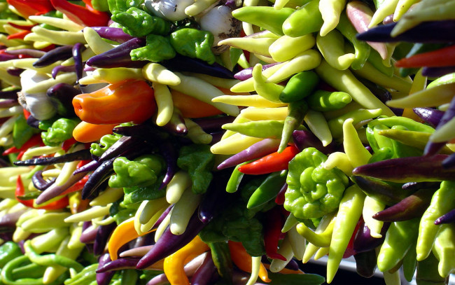 Обои картинки фото bright, peppers, еда, перец