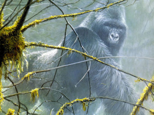 Картинка рисованные животные обезьяны