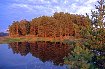 Картинка природа реки озера небо озеро отражение сосны