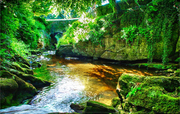 Картинка природа реки озера арка лето каменный мост мох река камни лес