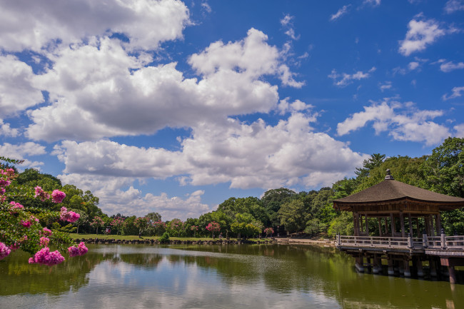 Обои картинки фото ukimido, pavilion, nara, park, japan, природа, парк, нара, деревья, павильон, беседка, облака, пруд