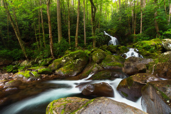 Картинка природа водопады лес деревья вода камни водопадик