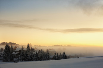 Картинка природа зима лес утро рассвет туман снег деревня ели дома
