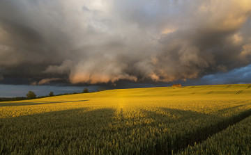 Картинка природа стихия перед штормом тучи небо поле северный йоркшир великобритания англия июль лето солнечный свет вечер
