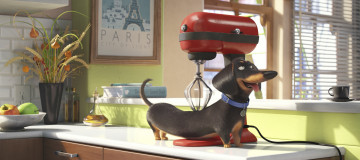 обоя the secret life of pets, мультфильмы, персонаж