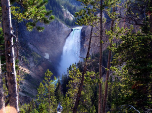 Картинка природа водопады ели сосны водопад