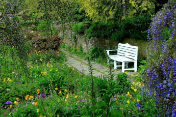 Картинка природа парк цветы глициния дорожка скамейка