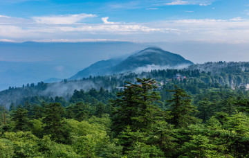 Картинка природа пейзажи горы облака лес дымка