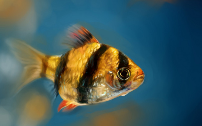 Обои картинки фото рисованное, животные,  рыбы, рисунок, рыбка