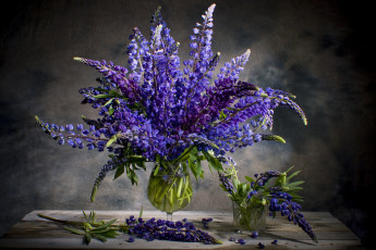 Картинка цветы люпин цветение букет ваза