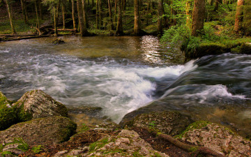 Картинка природа реки озера рита гончаренко лес пороги камни река