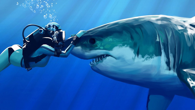 Обои картинки фото рисованное, животные,  рыбы, акула, прикосновение