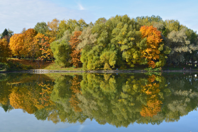 Обои картинки фото природа, реки, озера, октябрь, золотая, осень, деревья, вода, пейзаж, отражение