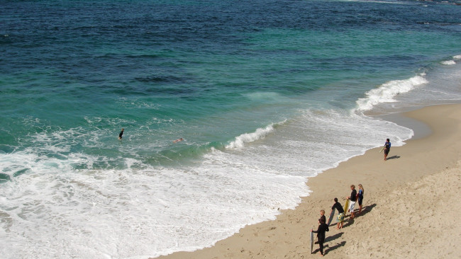 Обои картинки фото спорт, серфинг, море, берег, пляж, люди, серфы