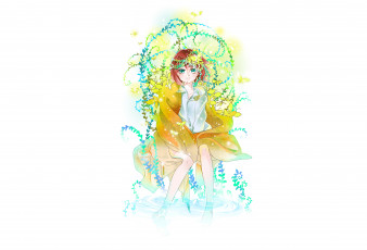 Картинка аниме mahou+tsukai+no+yome невеста чародея