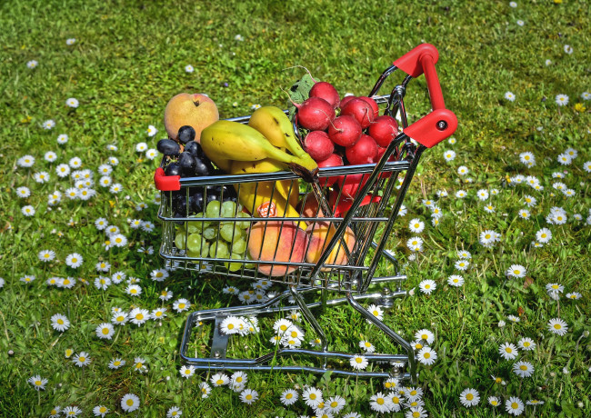 Обои картинки фото еда, фрукты и овощи вместе, трава, маргаритки, редис, бананы, виноград