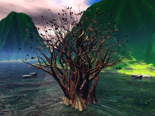 Картинка 3д графика nature landscape природа вода куст горы