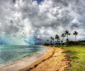 Картинка природа тропики гавайи пляж