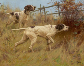 Картинка рисованные thomas blinks собаки английский пойнтер