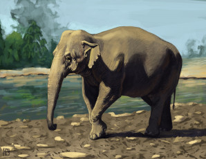 Картинка рисованные животные слоны слон животное река зелень солнечно