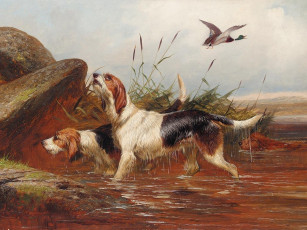 Картинка рисованные colin graeme roe пара сеттеров собаки