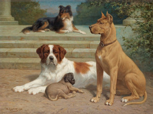Картинка рисованные heinrich sperling собаки на лестнице