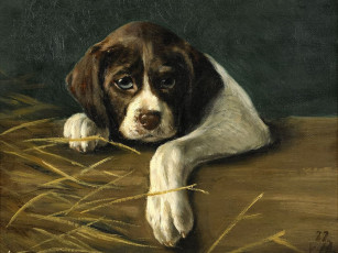 Картинка рисованные johan von holst портрет собаки