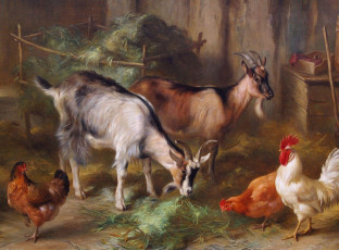 Картинка рисованные edgar hunt домашние животные козы и куры