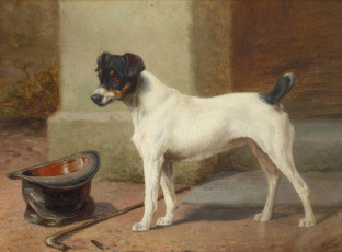 Картинка рисованные william henry hamilton trood собака шляпа и трость