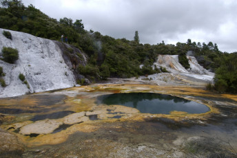 Картинка новая зеландия бухта изобилия природа реки озера кратеры лес