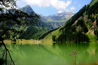 Картинка schwarzensee austria природа реки озера озеро леса горы зелень