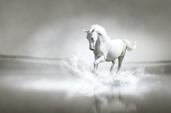 Картинка рисованные животные лошади берег река вода лошадь брызги бег