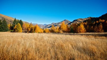 Картинка природа поля горы осень деревья