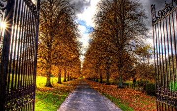 обоя autumn, colors, природа, дороги, деревья, ворота, аллея, осень, парк