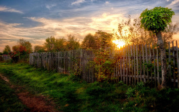 Картинка pretty good morning природа восходы закаты дорога сад рассвет изгородь