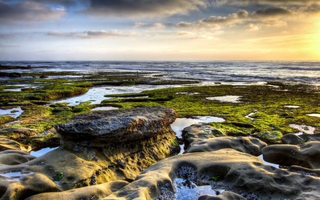 Обои картинки фото природа, побережье, берег, камни, море