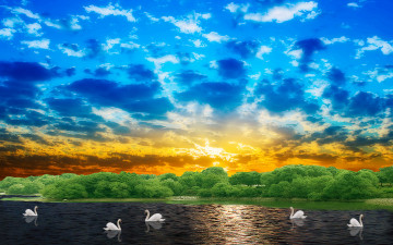 Картинка 3д графика nature landscape природа лебеди лес озеро