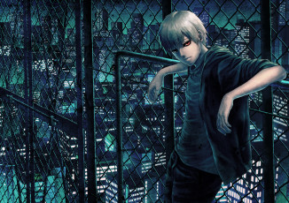 Картинка аниме tokyo+ghoul ночь сетка город парень kaneki ken tokyo ghoul токийский гуль etora арт
