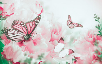 Картинка разное компьютерный+дизайн butterfly branch bloom flowers petals peonies бабочки ветки цветение цветы лепестки пионы