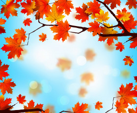 обоя векторная графика, природа , nature, листья, maple, leaves, autumn, фон, осенние