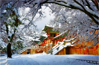 Картинка города -+здания +дома зима азия деревья пагода снег