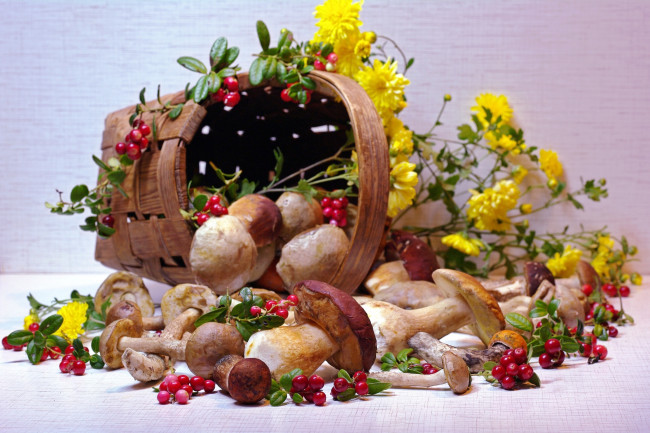 Обои картинки фото еда, грибы,  грибные блюда, корзина, брусника, цветы, боровик