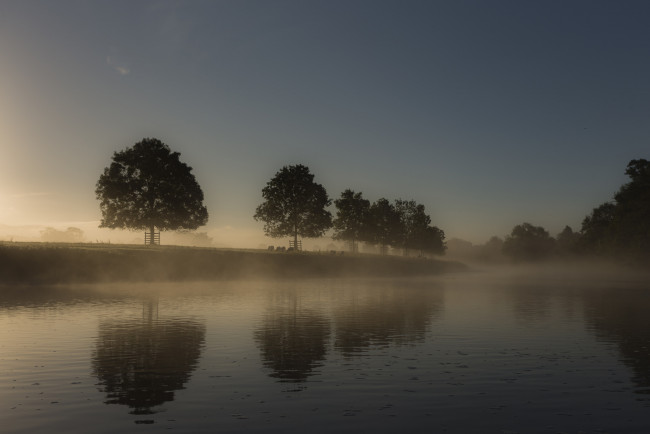 Обои картинки фото природа, реки, озера, отражение, деревья, туман, река, утро